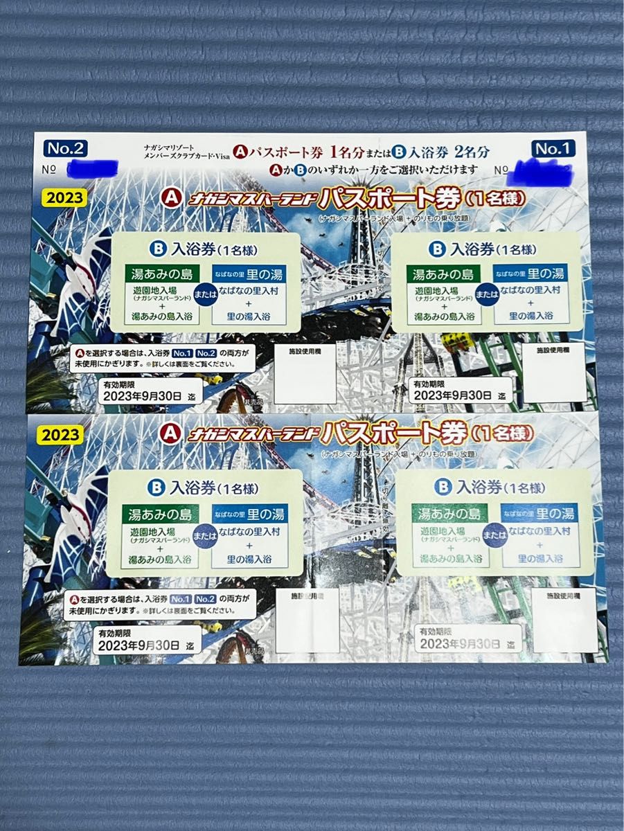 正規店仕入】 ナガシマスパーランド パスポート２枚セットの通販 by