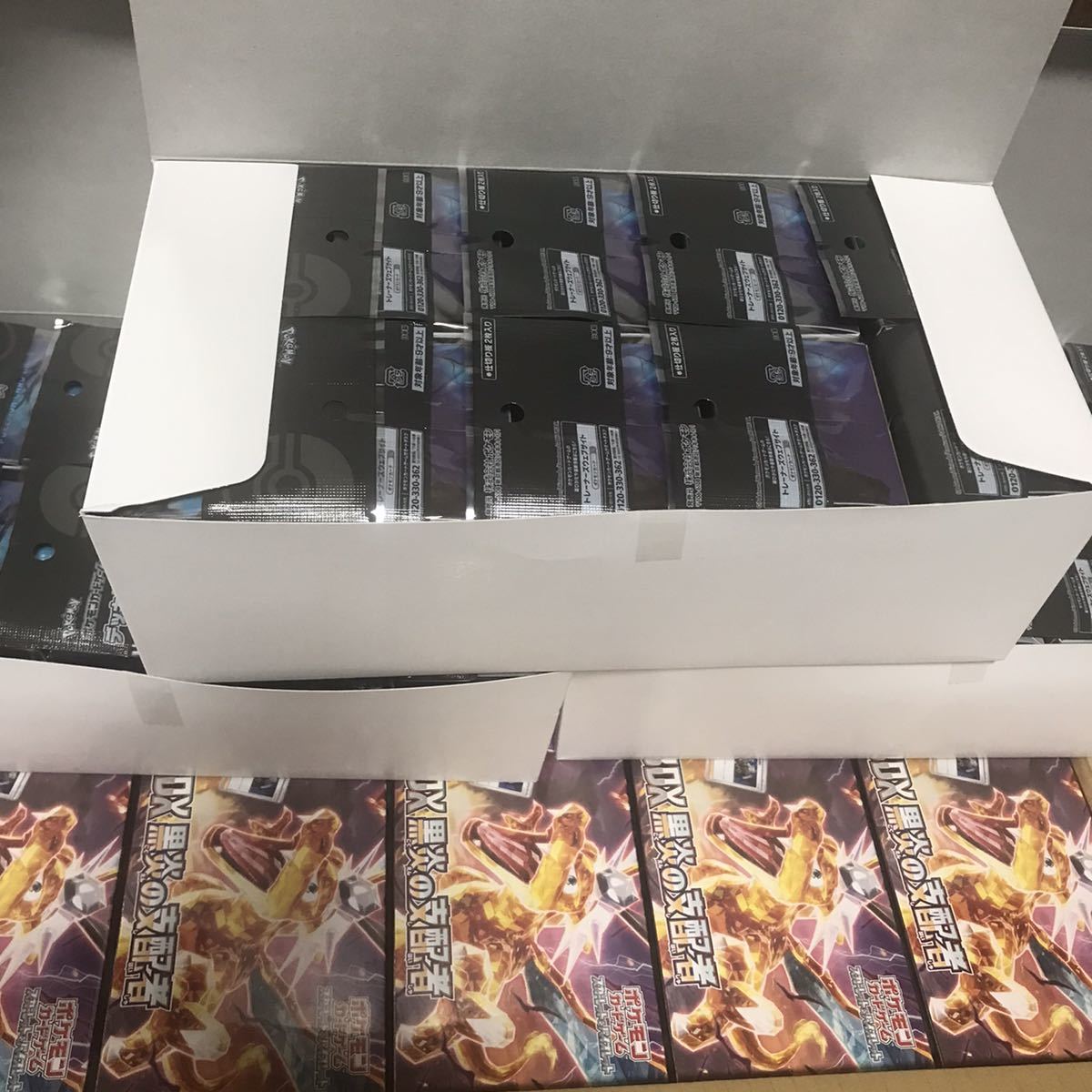 ポケモンカードゲーム スカーレット&バイオレット デッキビルドBOX 黒炎の支配者 20BOX デッキケース ディンルー パオジアン コライドン