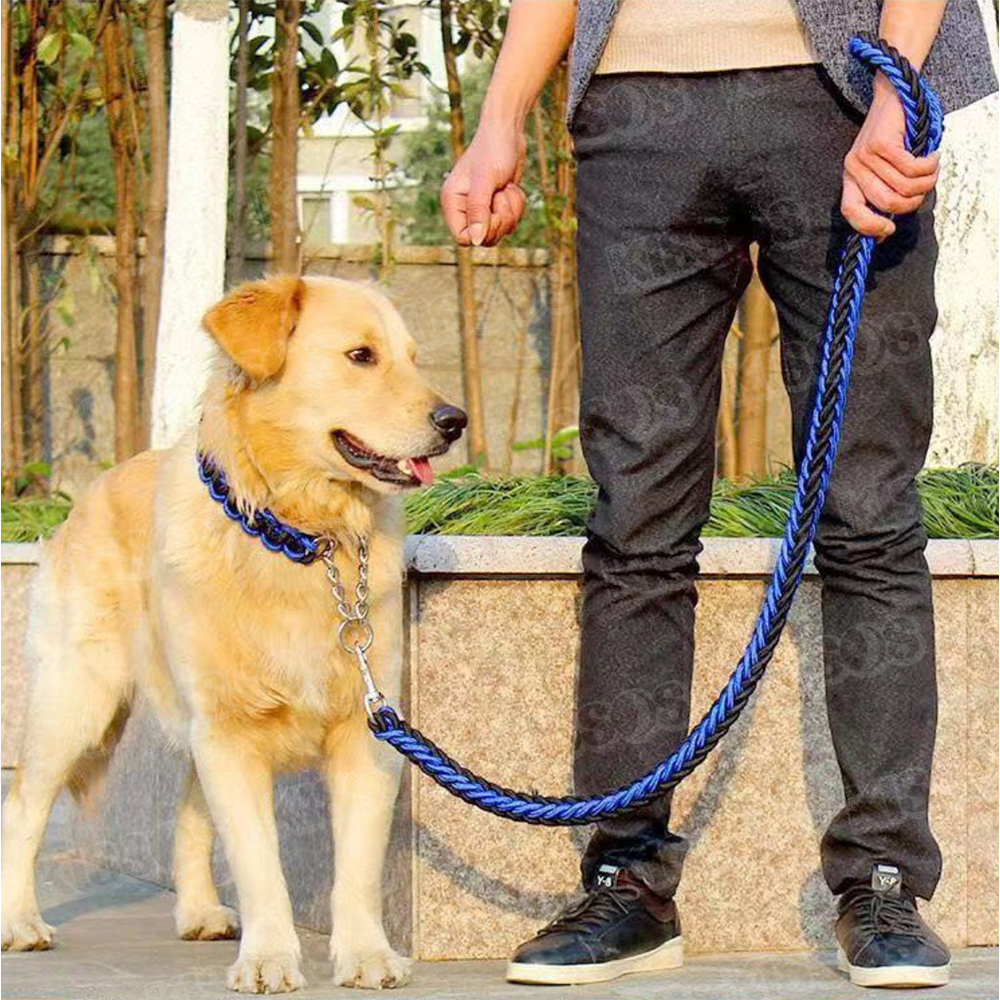 ペット 犬用 リード 首輪 ハーフチョーク 極太 小型犬 中型犬 大型犬 おしゃれ 可愛い カラフル お散歩 (Lサイズ, ブルー)_画像3