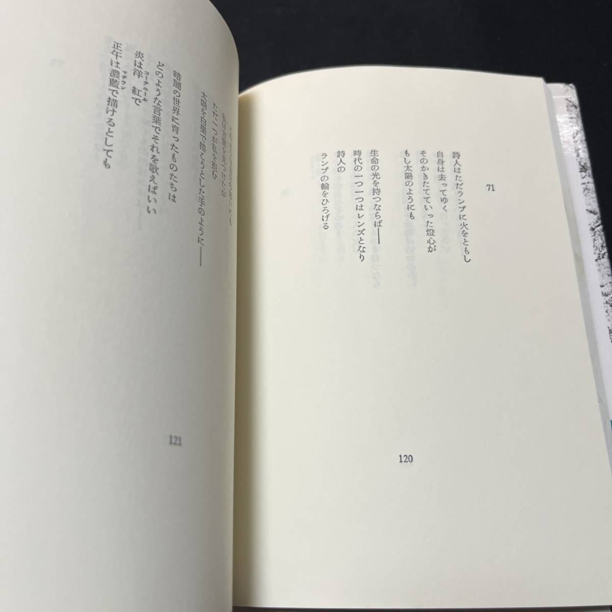 【中古 送料込】『エミリ・ディキンソン詩集 自然と愛と孤独と』国文社 1989年7月25日改訂版第7刷発行◆N9-207_画像4