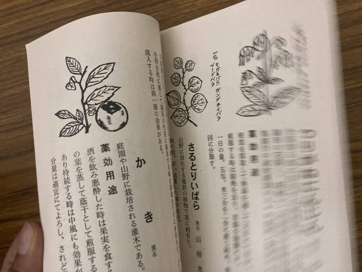 薬用植物と民間療法　昭和46年_画像7