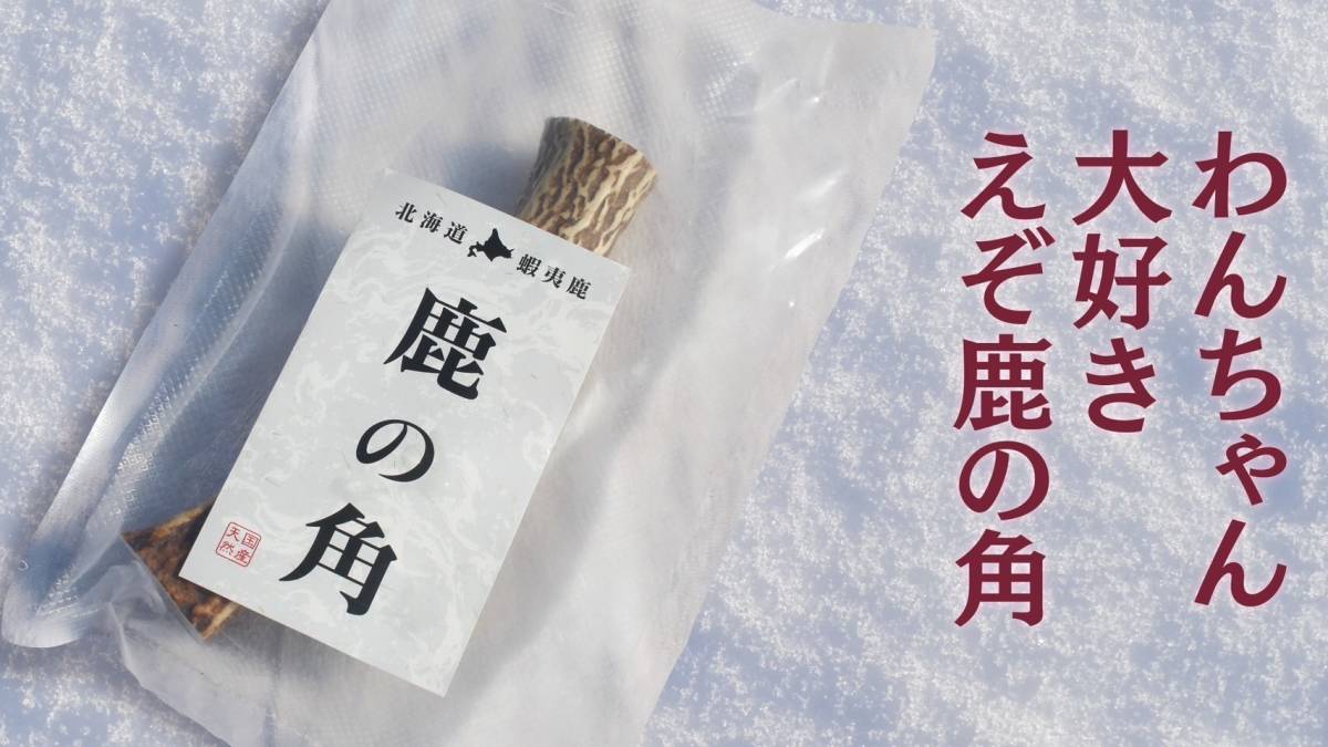 犬のおもちゃ　小型犬向き、北海道産　約13ｃｍ　はじめての鹿の角わんちゃん向き！半割りタイプ　２本セット送料込_画像1