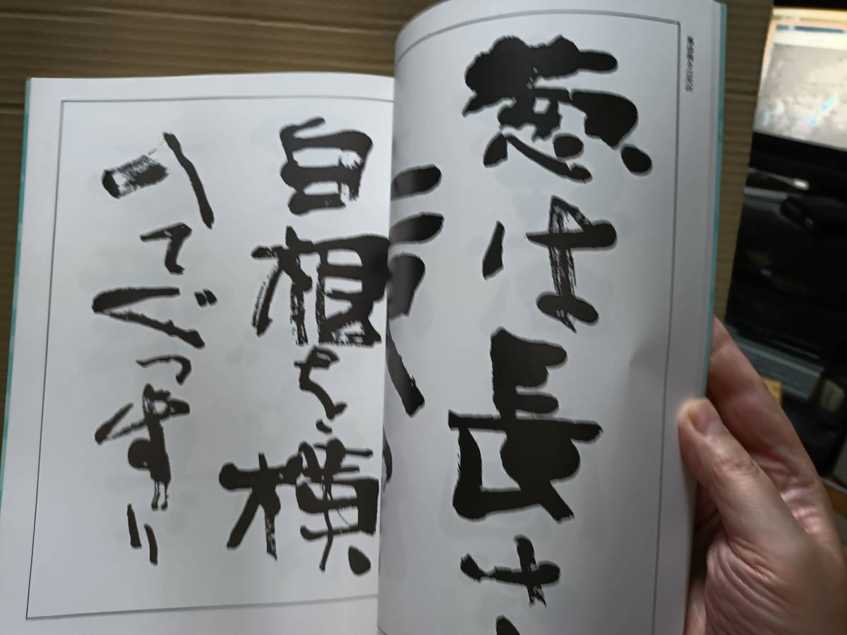 教本・鴎亭詩文書名品選11 武者小路詩[レンブラント] 高村詩[葱] 萩原詩[竹] 作品解説 長谷川牧風 47ｐ 2004年2月10日発行 金子おう亭 A_画像2