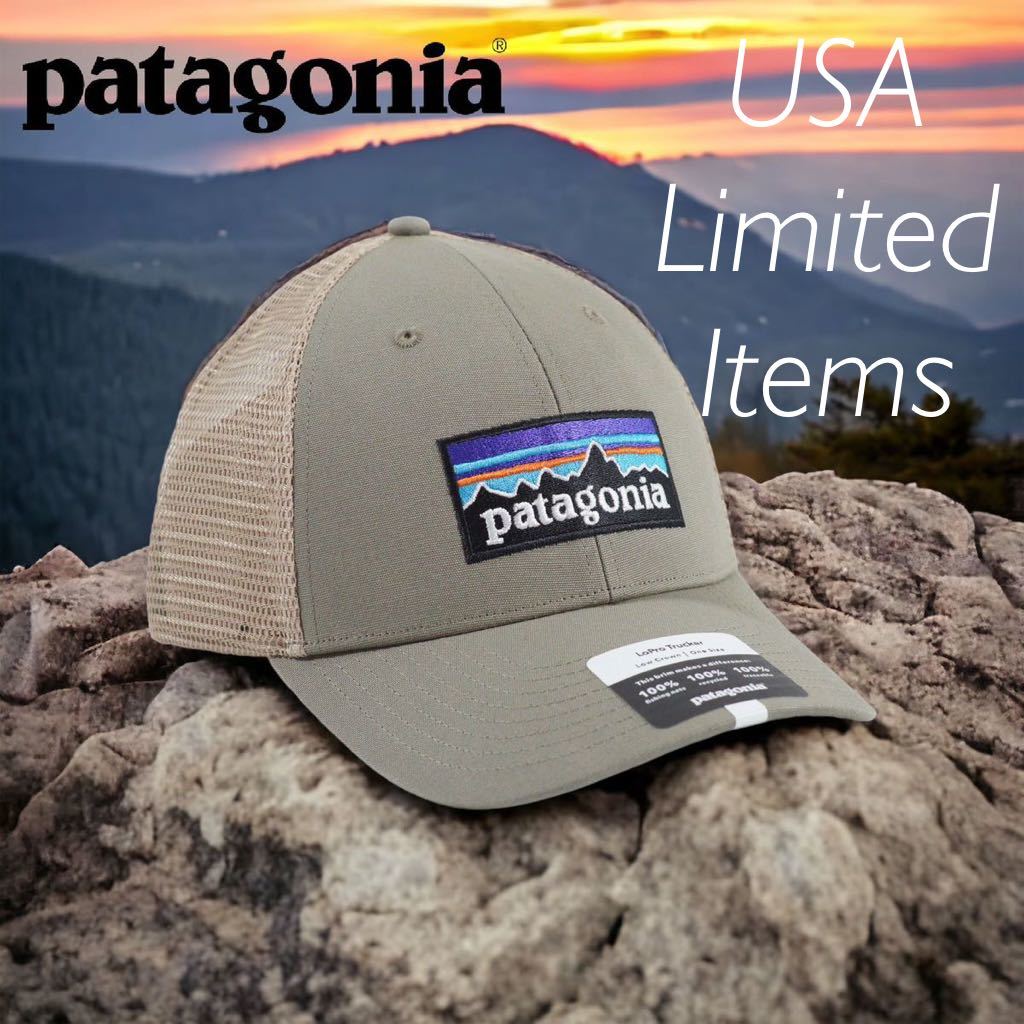 正規品販売！ P-6 ◇日本未発売◇Patagonia LOGO ガーデングリーン