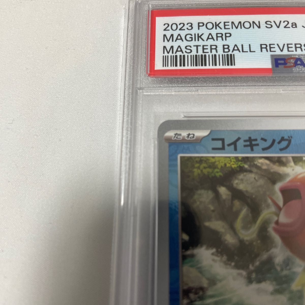 ポケモンカード コイキング マスターボールミラー psa10|Yahoo ポケモンカード コイキング マスターボールミラー psa10|Yahoo