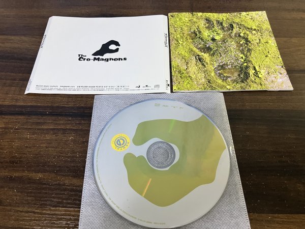 ザ・クロマニヨンズ CD アルバム　即決　送料200円　901_画像1