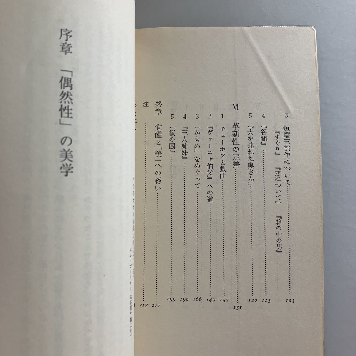 ◇送料無料◇ チェーホフの文学 その本質へのアプローチ 佐藤清郎 ♪GM818