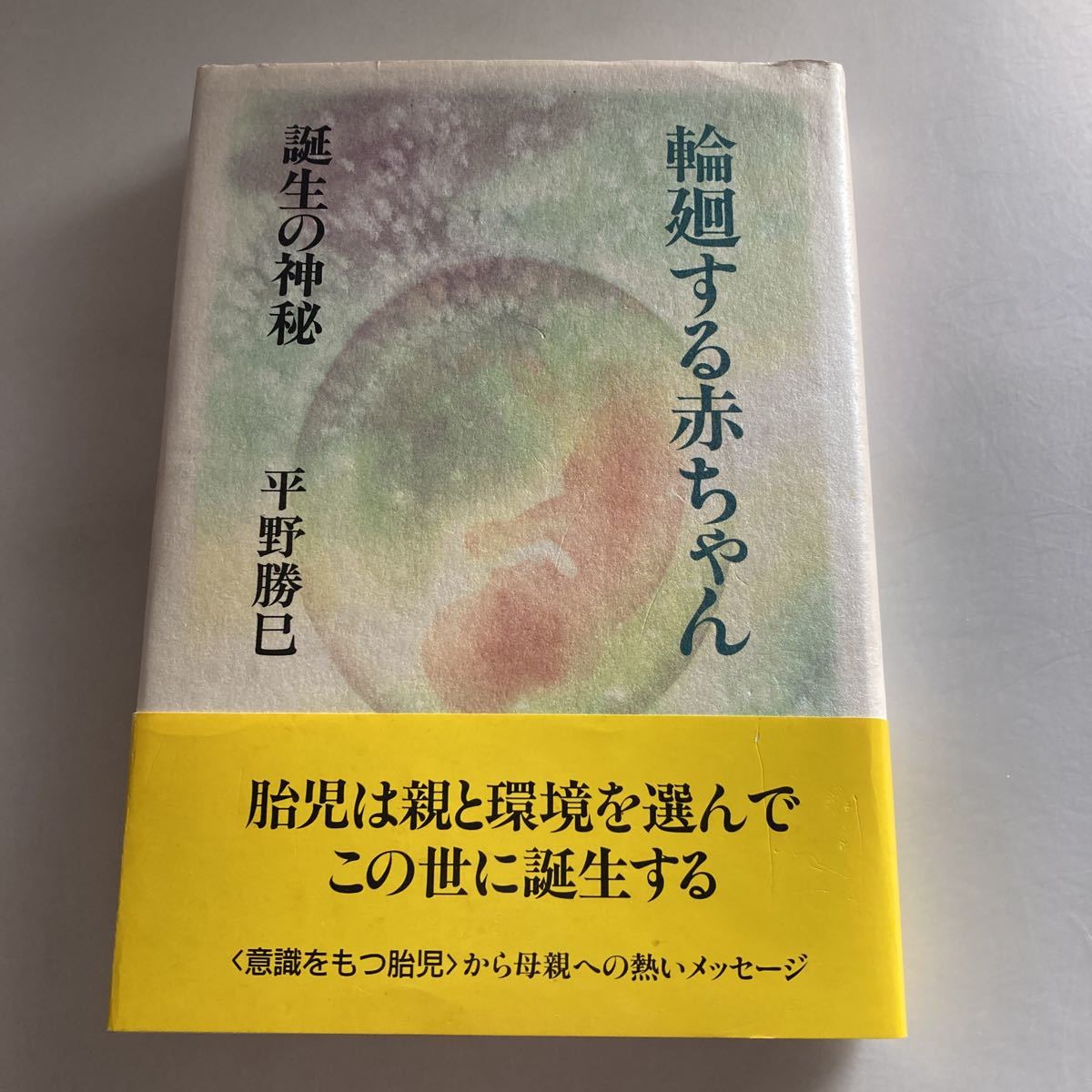 ☆送料無料☆ 輪廻する赤ちゃん 誕生の神秘 平野勝己 人文書院 帯付 ♪GM18_画像1