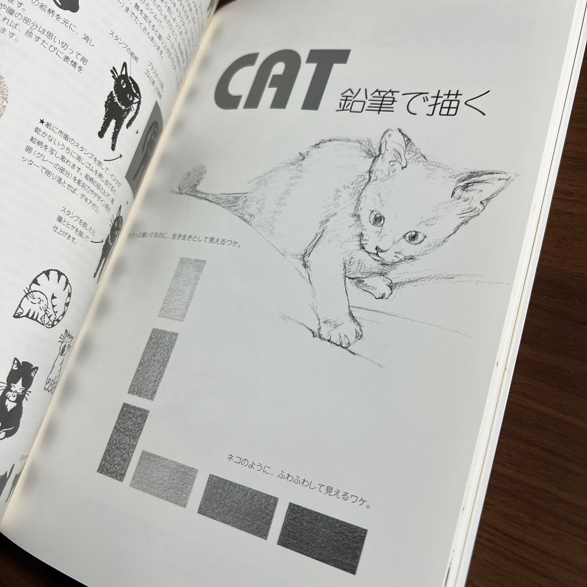 ネコの描きかた　Ｃａｔ’ｓ　ａｒｔ 高瀬カオル／絵　渡辺憲子／文