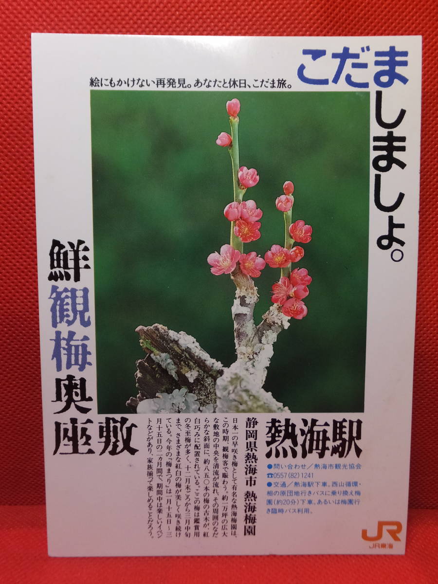 JR東海　こだましましょ。　京都駅/静岡駅/熱海駅/新横浜駅　絵はがき ポストカード　4種セット　保管品_画像6