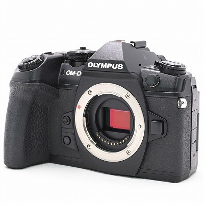 破格値下げ】 【極上品】OLYMPUS OM-D E-M1 MarkII ボディ #1194