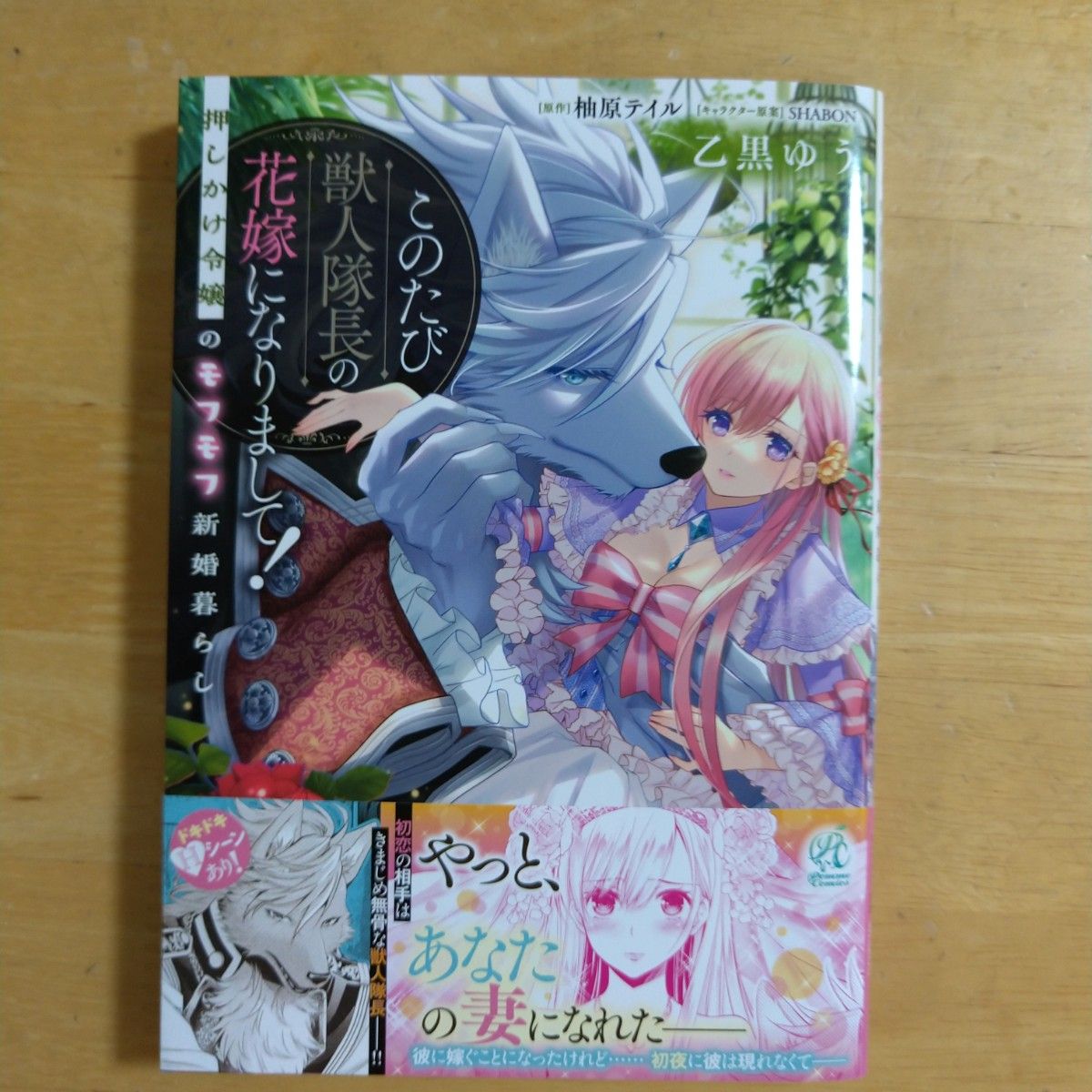 このたび獣人隊長の花嫁になりまして! 押しかけ令嬢のモフモフ新婚暮らし