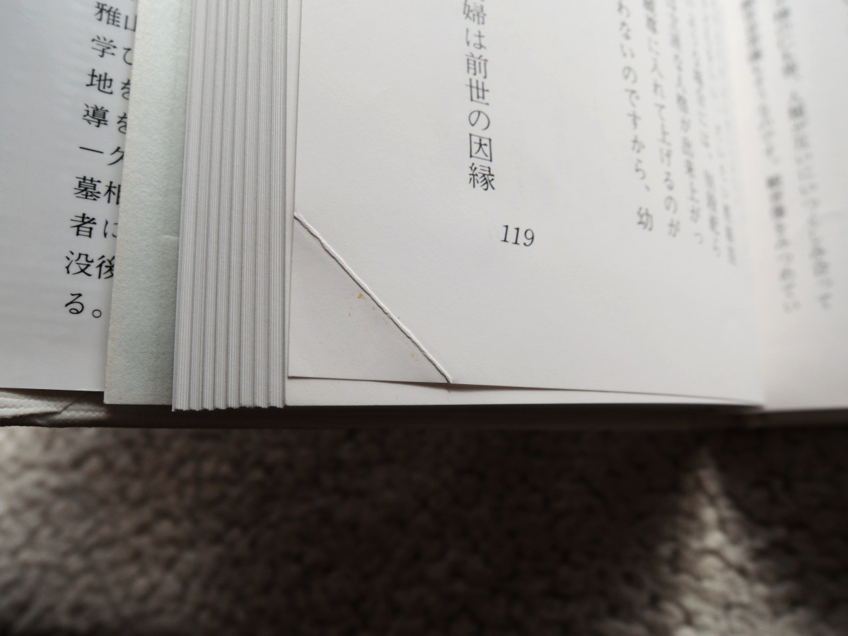 これだけは知っておきたい 墓相で決まる家運 (仏導会) 久保田雅 これだけは知っておきたい 墓相で決まる家運 (仏導会) 久保田雅