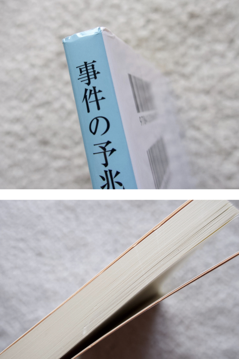 事件の予兆 文芸ミステリ短篇集 (中公文庫) 井上靖 大岡昇平 小沼丹 山川方夫 遠藤周作 野呂邦暢 吉田知子 野坂昭如 大庭みな子 田中小実昌_画像5