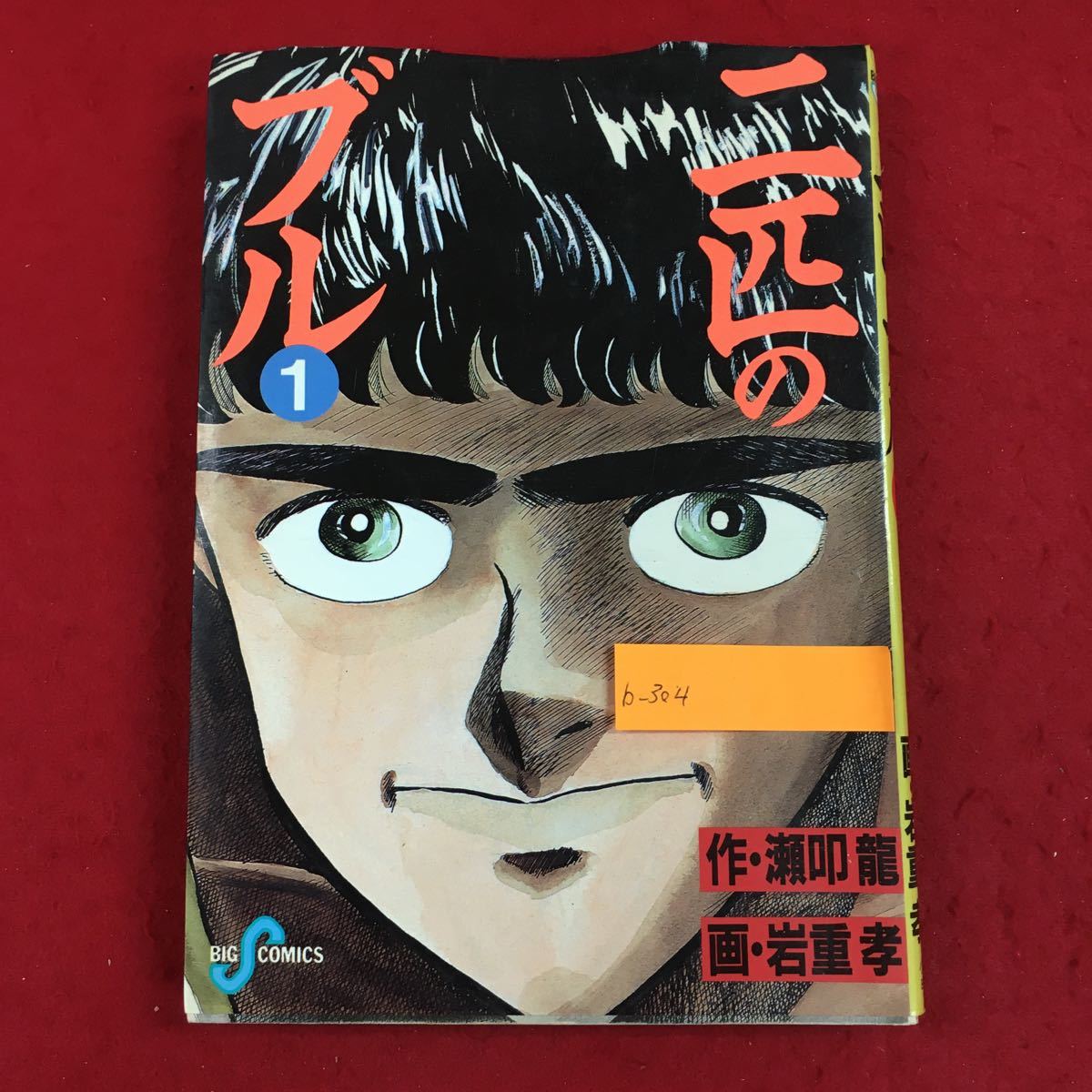 b-304 二匹のブル 1巻 ー拳の出会いー 作/瀬叩龍 画/岩重孝 小学館 昭和61年8月1日初版第1刷発行 ビッグコミックス ※6 _画像1