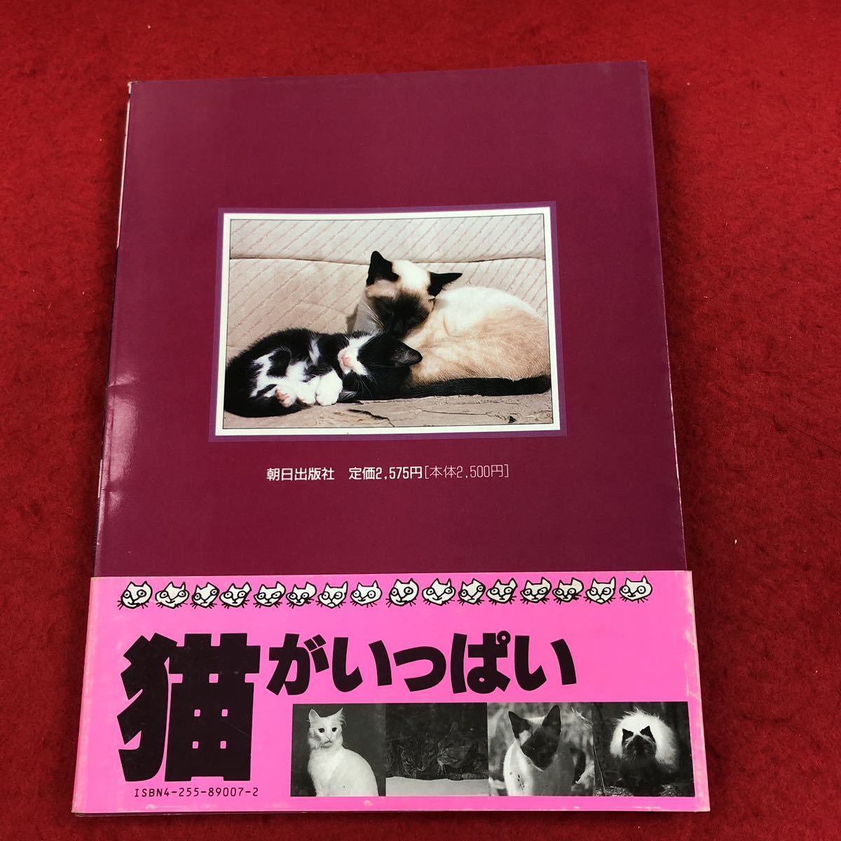 E-056 Mutsugorou и Ikkai Friends 10 Great Cat World Gwambbook Masanori Hata Hata Masanori 1989 Первое издание животного царства Neko Cat Variet * 6