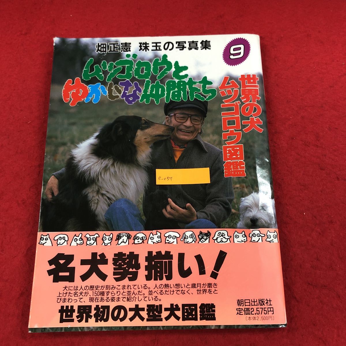 E-057 Mutsugorou и Ikkai Friends 9 World Dogs Mutsugorou Picture Books Фото книга Масанори Хатата, 1989 г. Первое издание опубликовано 150 Тип Введение Комментарий * 6