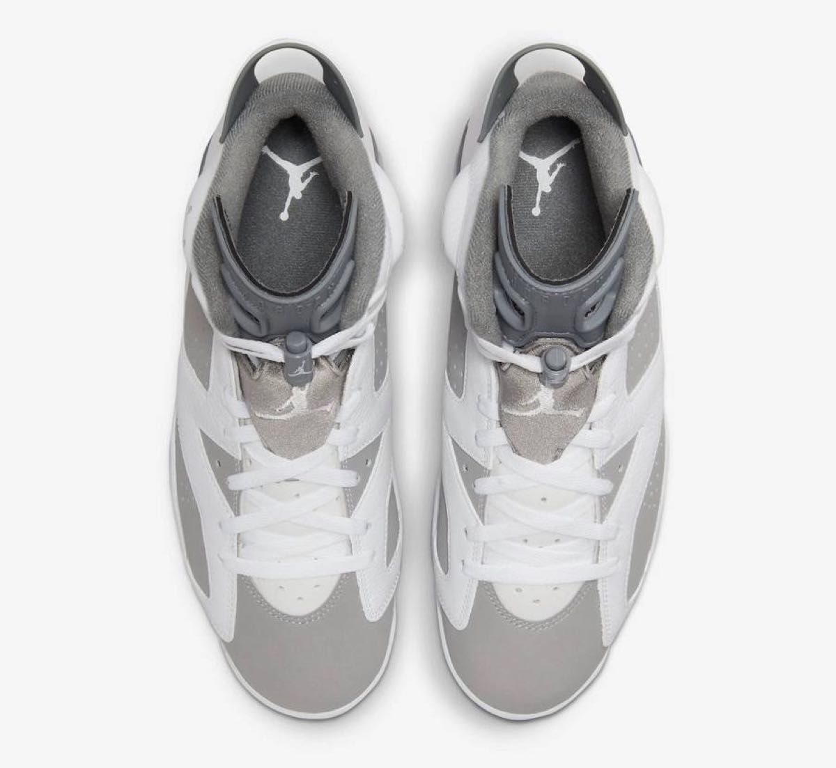 新品未使用 Nike  Air Jordan 6 "Cool Grey"ナイキ エアジョーダン6 "クールグレー" 30cm