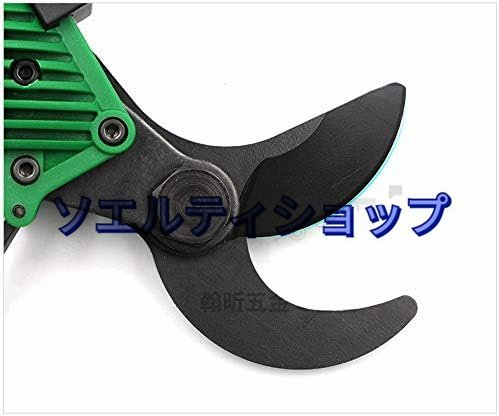  special price * practical use scissors for gardening air pruning . futoshi branch cut . cutting ability 25mm pruning scissors . mowing . raw . flower, fruit tree, garden tree, bonsai etc. for 