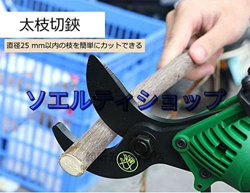  special price * practical use scissors for gardening air pruning . futoshi branch cut . cutting ability 25mm pruning scissors . mowing . raw . flower, fruit tree, garden tree, bonsai etc. for 
