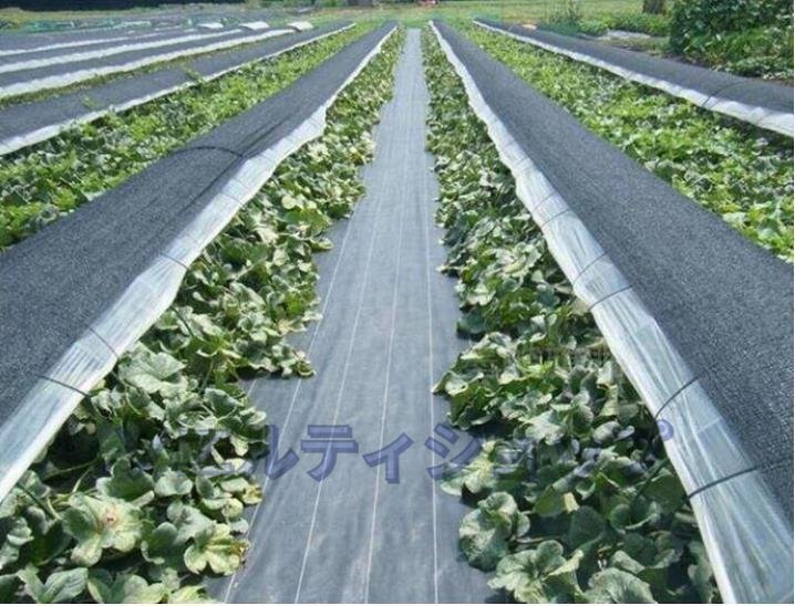  practical goods * shade .. excel . hutch PP material .. prevention seat weeding seat weed proofing seat . for seat undergrowth prevention hydroponic culture agriculture for gardening material 1.5M×200M