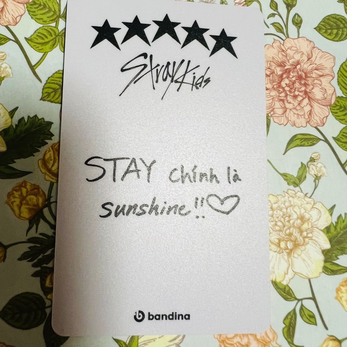 Stray Kids 5-STAR ベトナム BANDINA 特典 フィリックス
