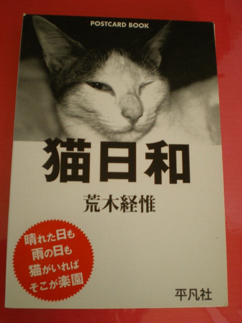 （一般書 ポストカードブック 写真集）『猫日和』 荒木経惟 著 平凡社 刊 （やや難あり）_画像1