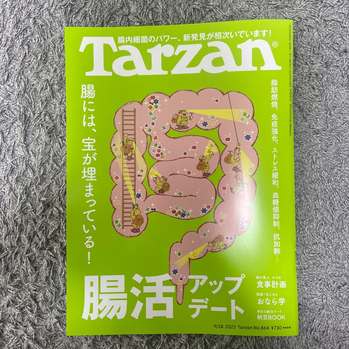 Tarzan ターザン 筋トレ 2023年9月28日号 No 864 最新号 腸活アップデート 槙野智章｜PayPayフリマ