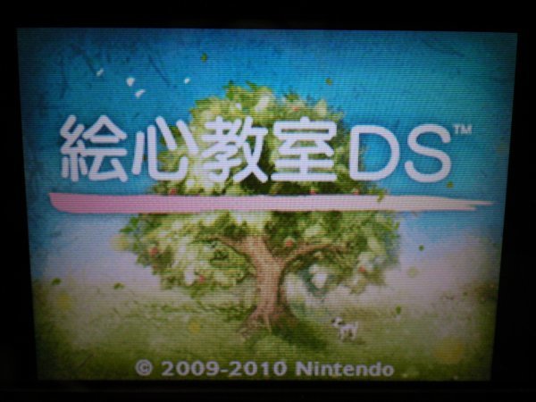 3DS＋DS　新 絵心教室＋絵心教室DS　お買得2本セット(ソフトのみ)_画像2