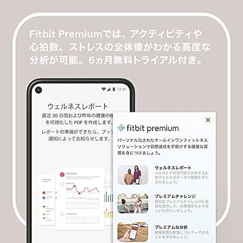 ★送料無料 Fitbit Luxe フィットネストラッカー オーキッド／プラチナ L/Sサイズ [日本正規品] FB422SRMG-FRCJK ▼特価品▼_画像4