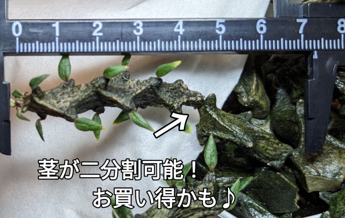 アルミ板 2x650x1760 (厚x幅x長さ㍉) 保護シート付 金属 アルミ板 2x650x1760 (厚x幅x長さ㍉) 保護シート付 金属