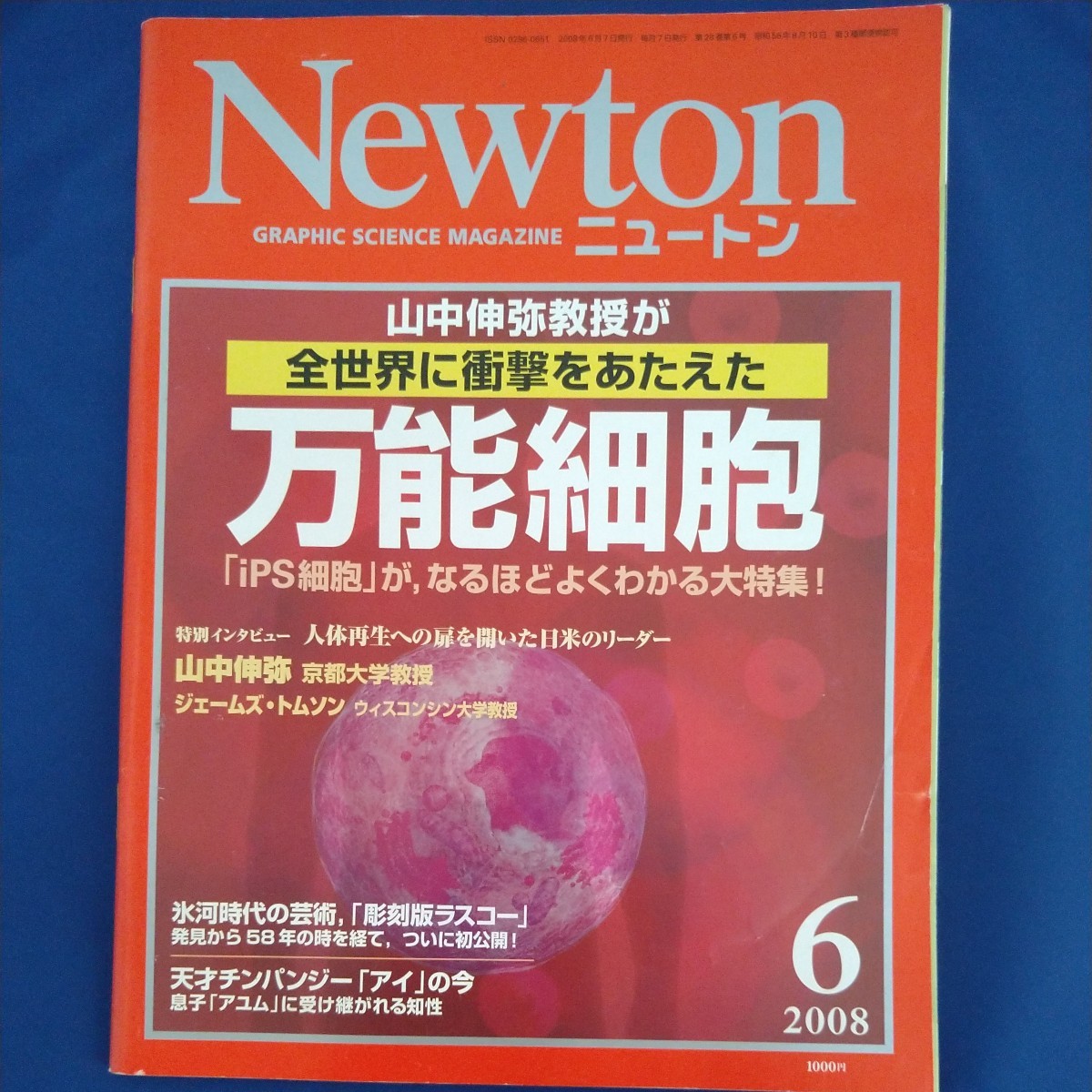 Newton ニュートン　2008年6月号_画像1