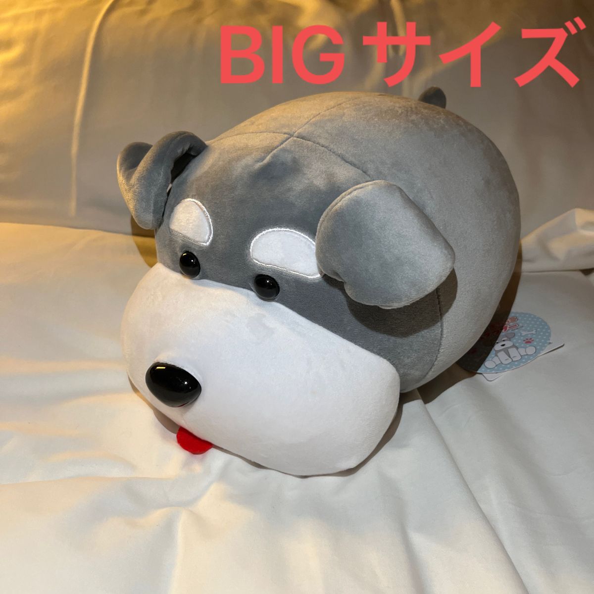 ★新品未使用品★つめる！もちっこシュナウザー　BIGサイズぬいぐるみ