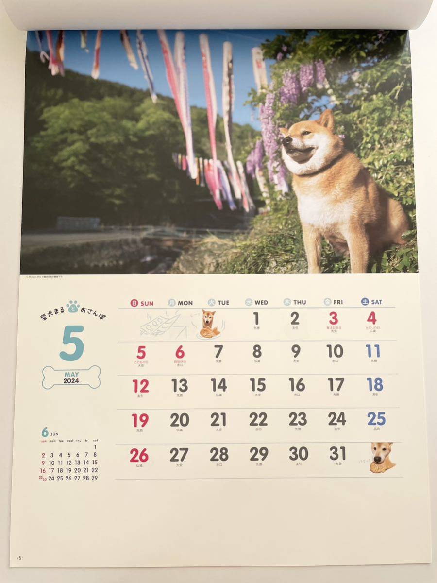 ☆2024年・令和6年版　壁掛カレンダー☆　柴犬まるとおさんぽ_画像6