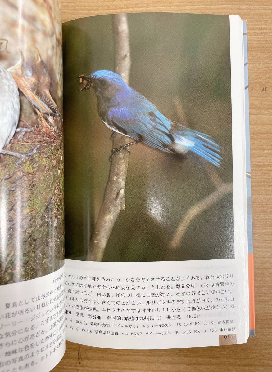 ☆【野外ハンドブック 野鳥◆樹木2 2点】趣味 /山と渓谷社 /自然観察 /生態図鑑 樹木図鑑 /A59-030_画像4