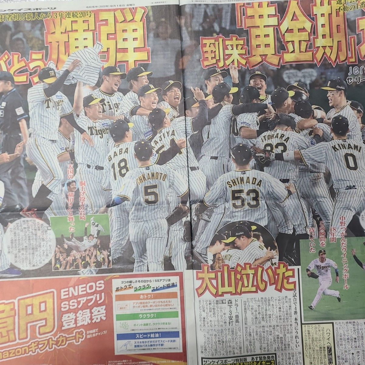 9月15日 朝刊 阪神 優勝 スポーツ紙全6社｜PayPayフリマ