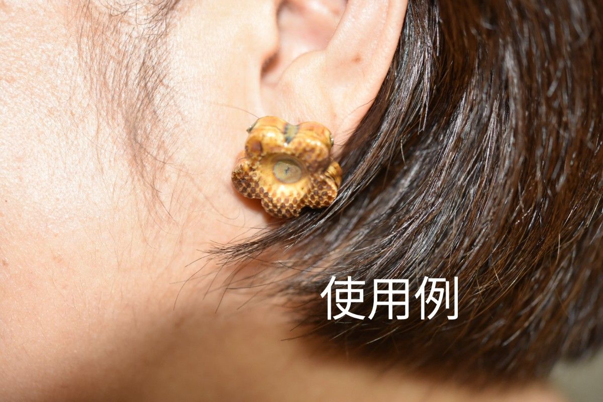 18KYG 珊瑚ピアス 3.5mm 貝 花形-