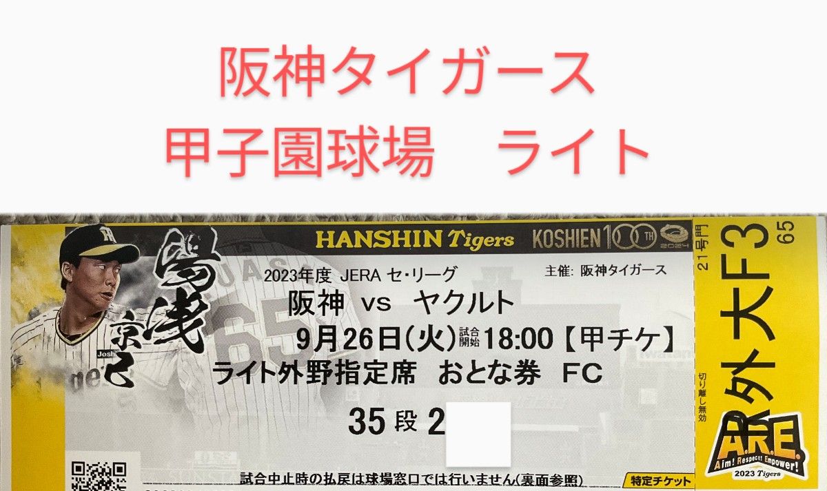 阪神タイガース　優勝　決定試合　使用済チケット