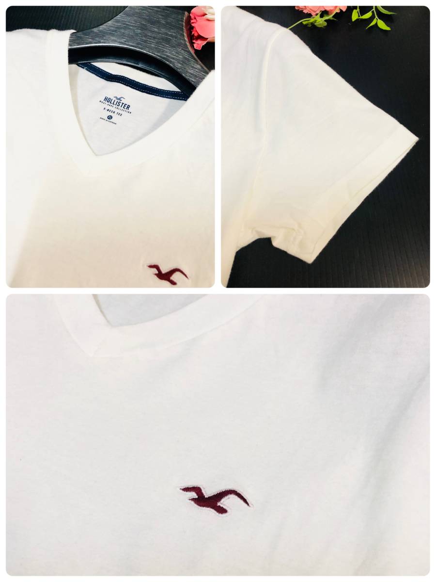 Hollister 　ホリスター　Vネック　Tシャツ　ホワイト　半そで　カモメ　サイズXS_画像4