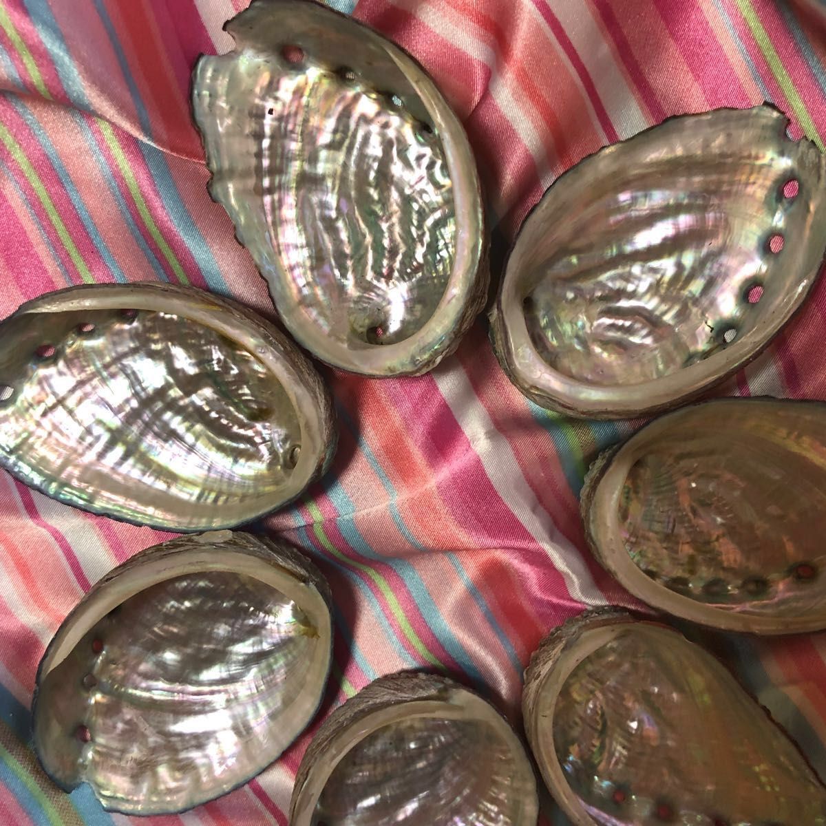 美品　アワビ貝殻　7枚セット　サイズ約8×5.5cm 艶々模様　インテリア、アクセサリー手作、浄化など