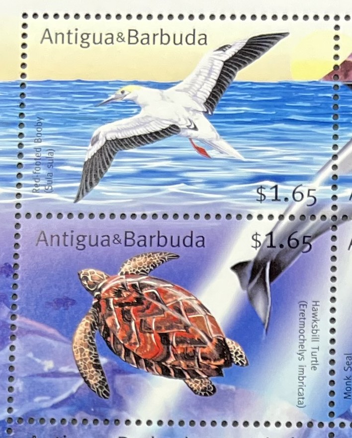 アンチグアバーブダ 2001年発行 トリ イルカ カメ アザラシ 動物 サメ 魚 切手 未使用 NH _画像2
