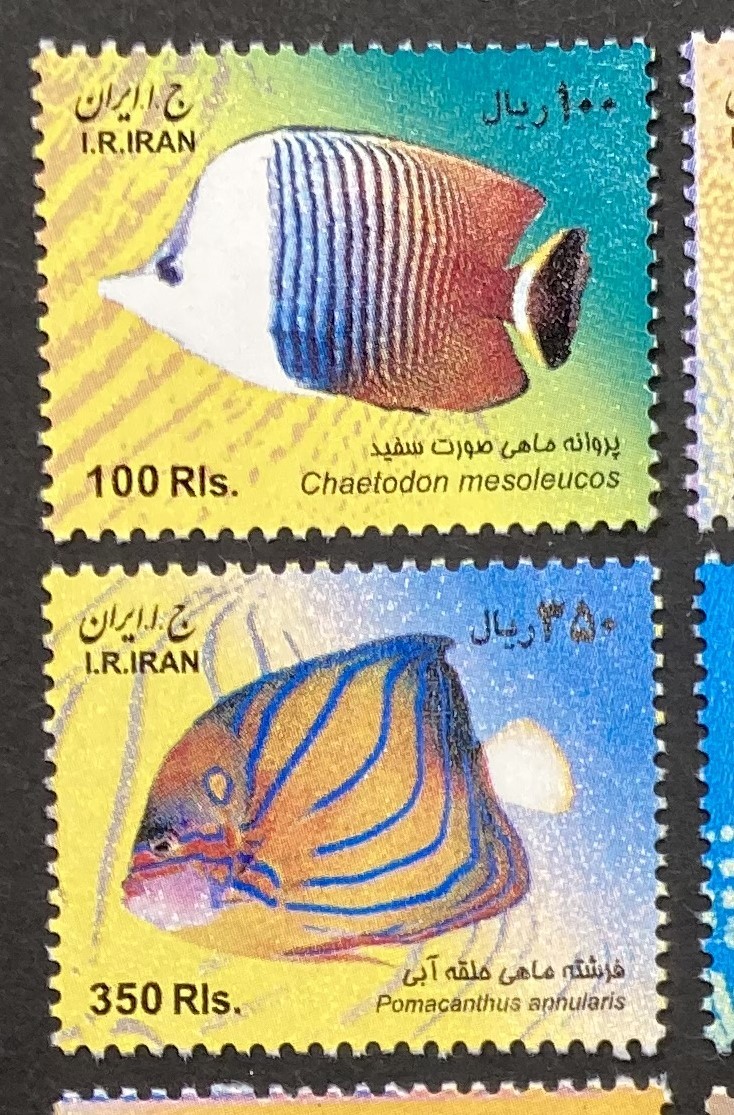 イラン 2009-11年発行 魚 小型 切手 未使用 NH_画像2