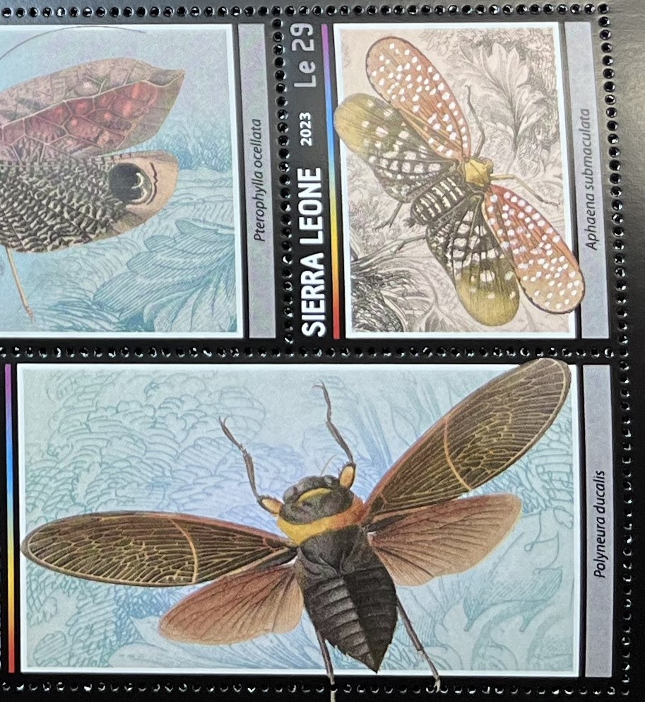 シエラレオネ 2023年発行 昆虫 切手 未使用 NH_画像3