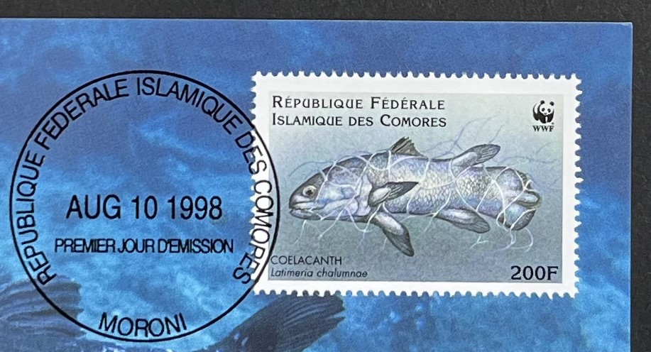コモロ 1998年発行 シーラカンス 魚 切手 MC マキシマムカードの画像5