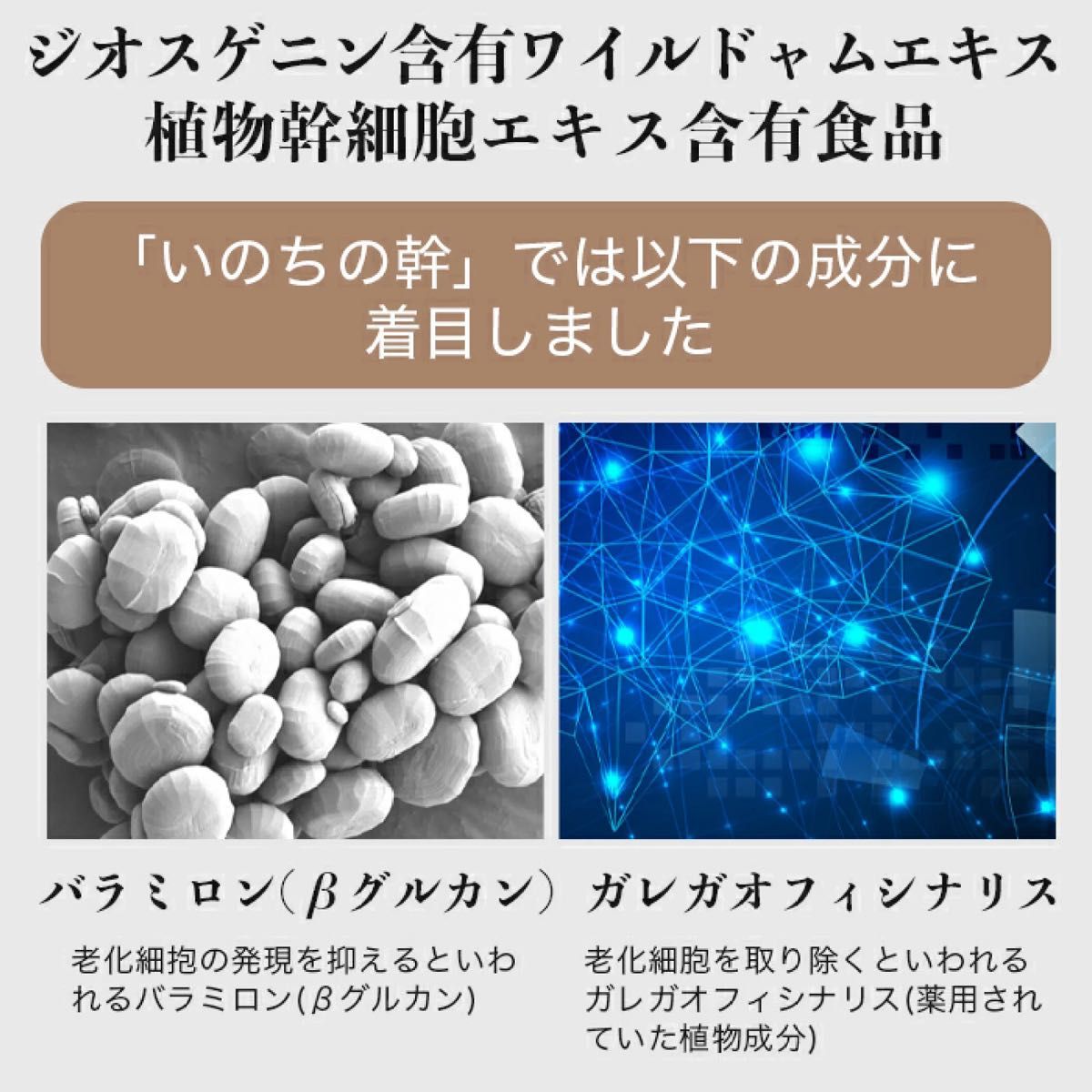 2袋 いのちの幹 生命科学研究所 サプリ サプリメント NMN 幹細胞 2袋 いのちの幹 生命科学研究所 サプリ サプリメント NMN 幹細胞