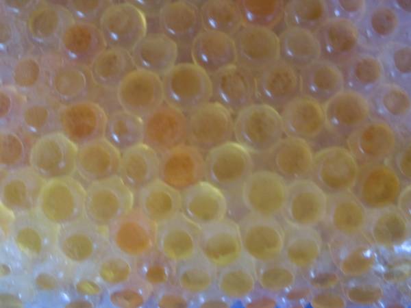  rare * limitation * yellow gold. salted salmon roe * mountain woman fish * rare *...* business use 1kg* domestic production. caviar 