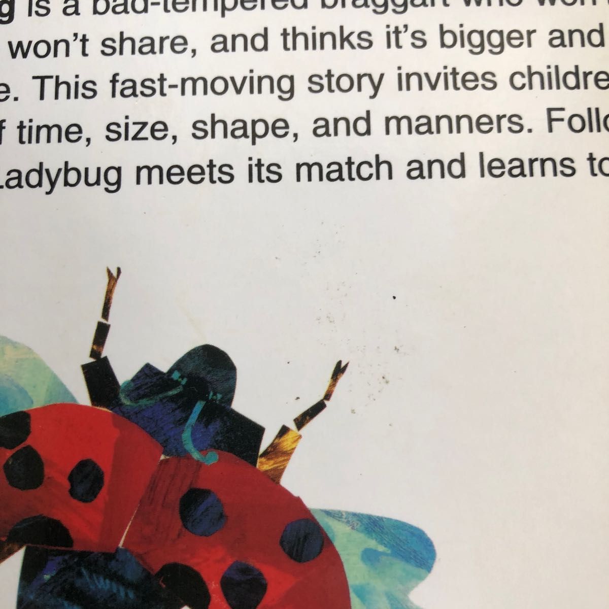 エリックカール　英語絵本　the grouchy ladybug