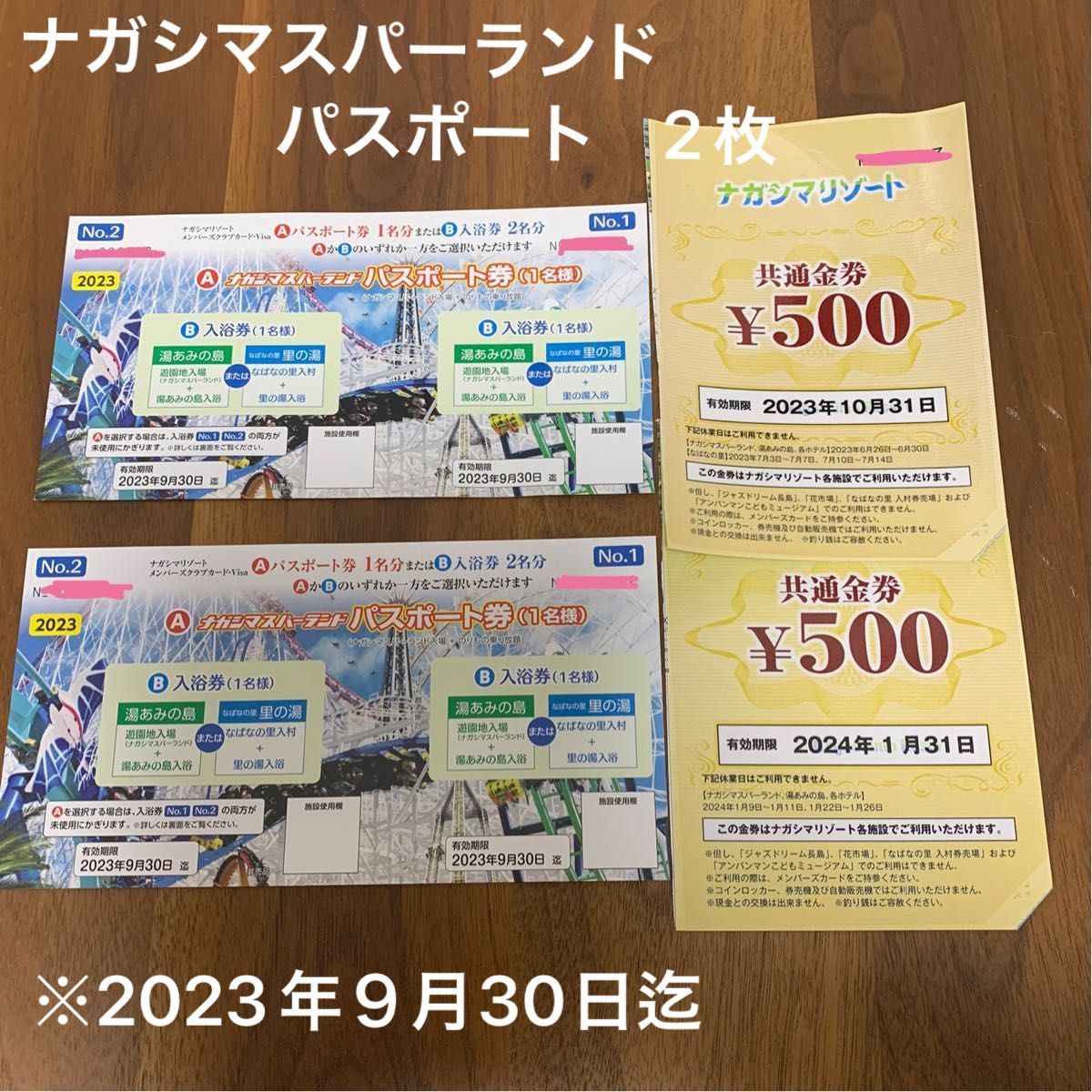 ナガシマスパーランドパスポート券 2枚 2023年9月30日迄 ナガシマ