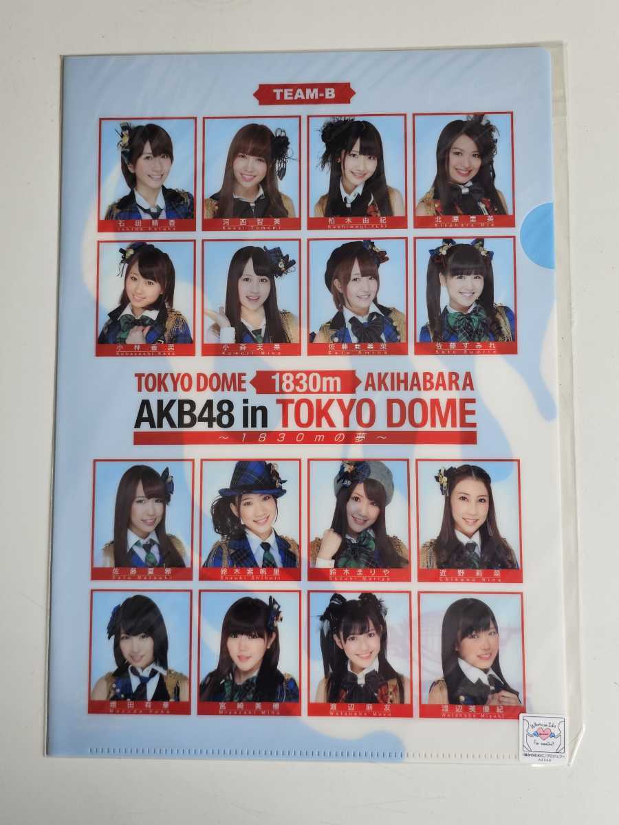 AKB48 クリアファイル ＜1830m AKB48 in TOKYO DOME＞ チームA/K/B 3種コンプ_画像4