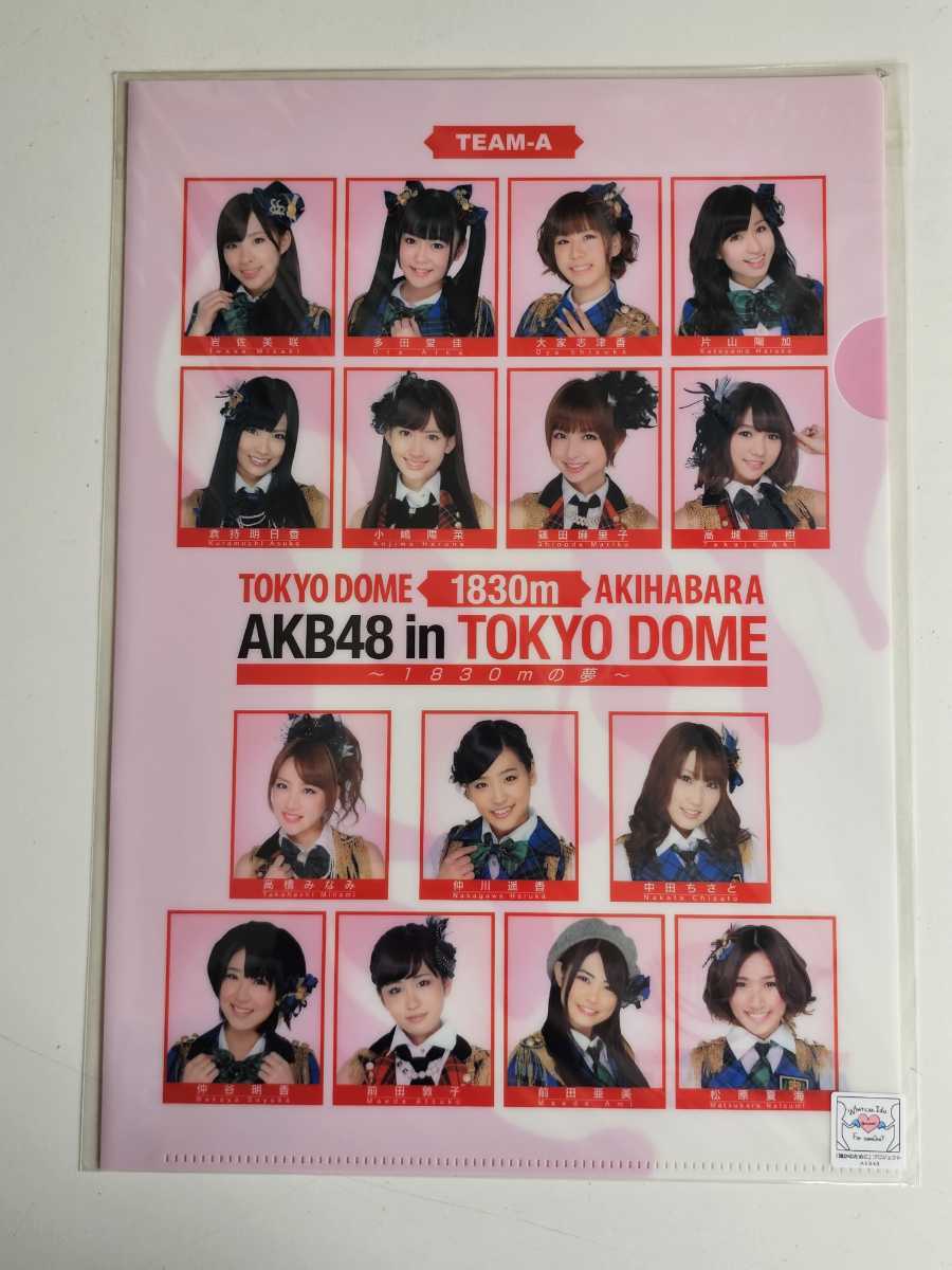 AKB48 クリアファイル ＜1830m AKB48 in TOKYO DOME＞ チームA/K/B 3種コンプ_画像2